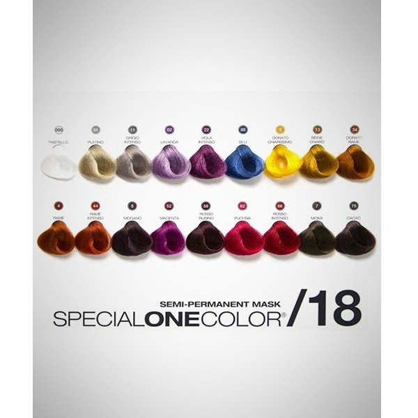 COLOR CHART BLEACH&COLOR + SPECIAL ONE MASK