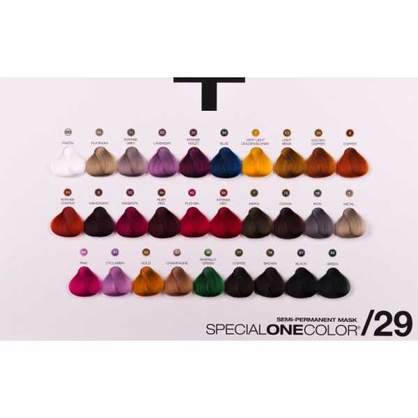 COLOR CHART BLEACH&COLOR + SPECIAL ONE MASK